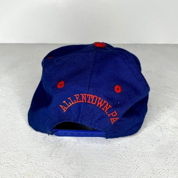 VTG Nestle Logistics Services Allentown PA Adjustable Cap - Picture 2 of 7